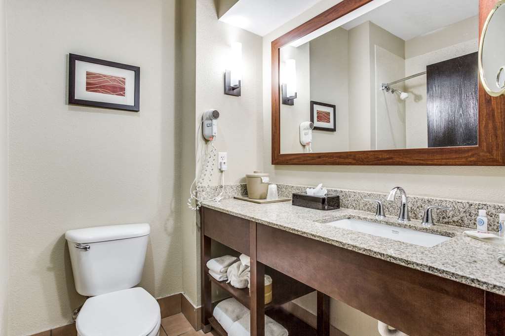 Comfort Inn & Suites Love Field Dallas Market Center - photo 13