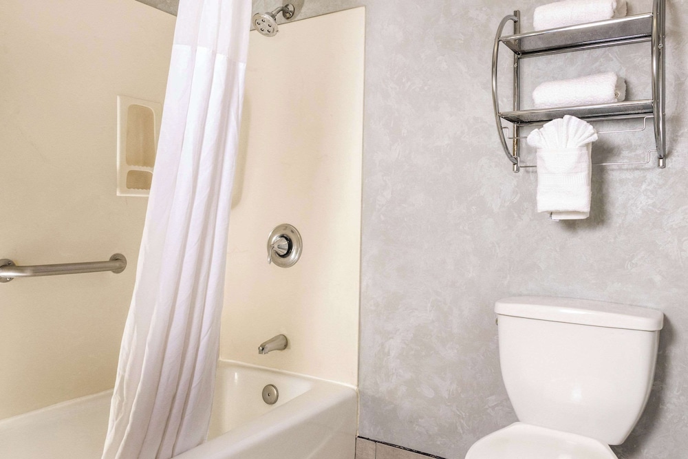 Quality Inn & Suites Lathrop South Stockton - photo 14