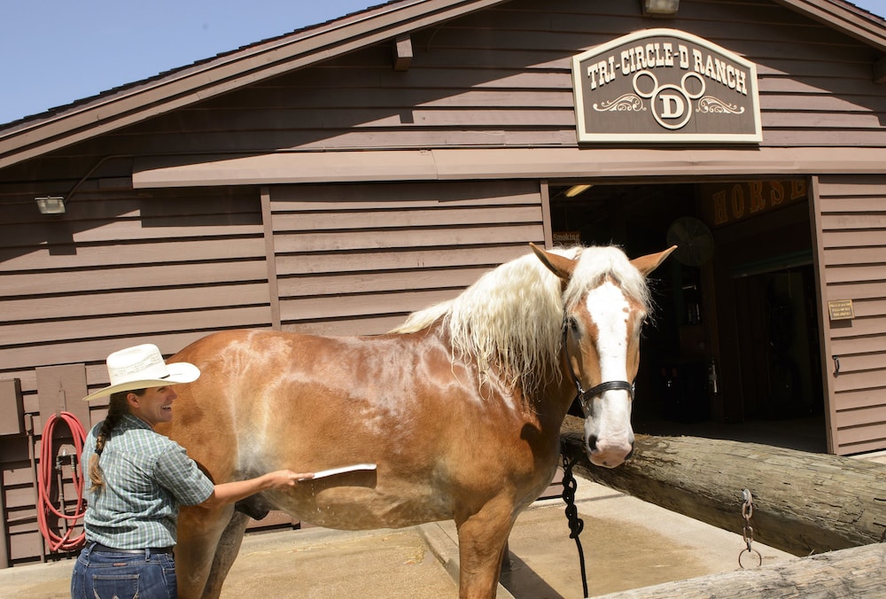 The Cabins at Disney s Fort Wilderness Resort - photo 23