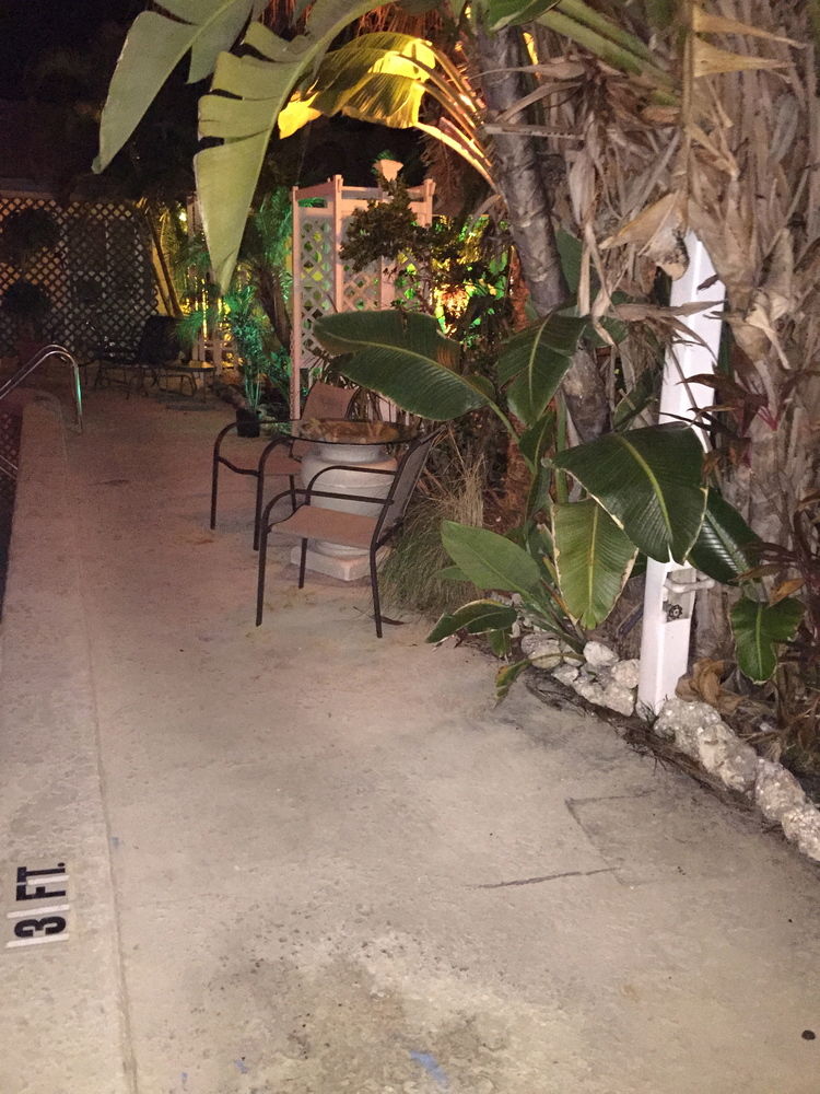 Amber Tides Motel - photo 46