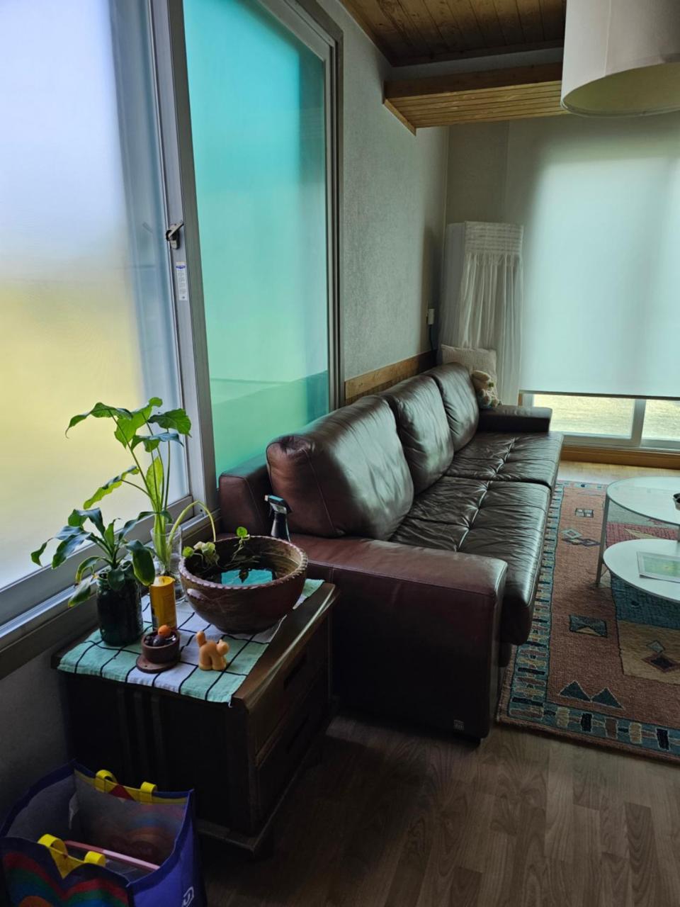 New Stay Dear pet-friendly hotel Cheongju-Si