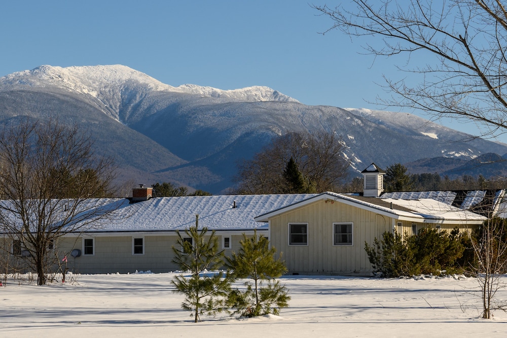 Gale River Motel - photo 68