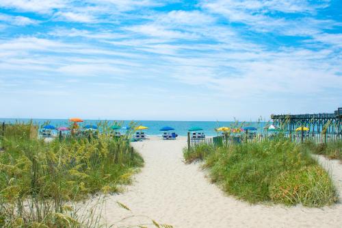 Barefoot Resort - photo 9