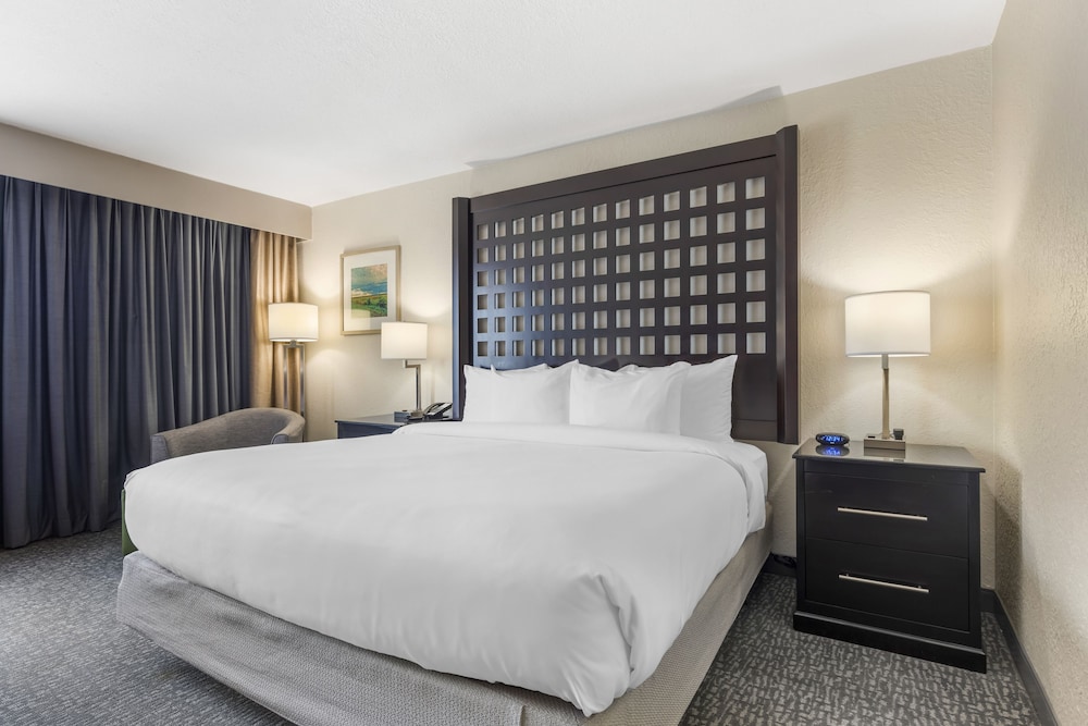 Comfort Inn Plano Dallas - photo 12