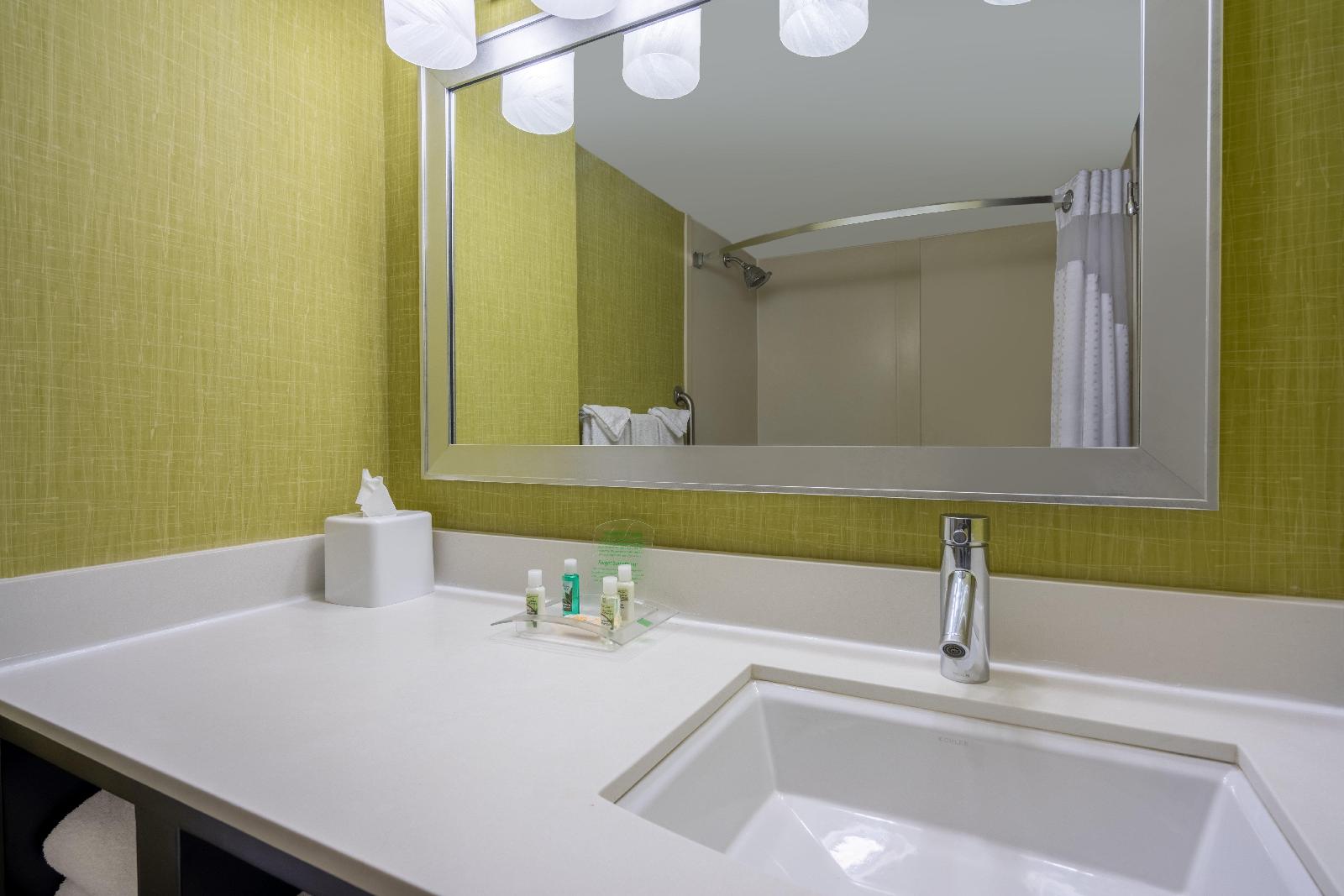 Holiday Inn Inner Harbor - photo 25