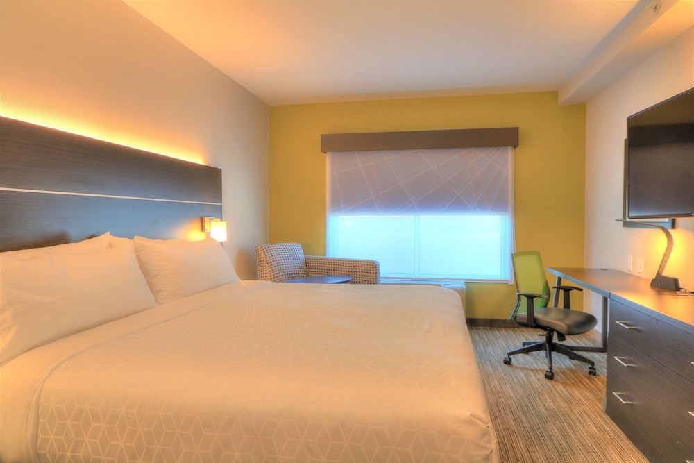Holiday Inn Express Hotel & Suites Mobile Saraland by IHG - photo 12
