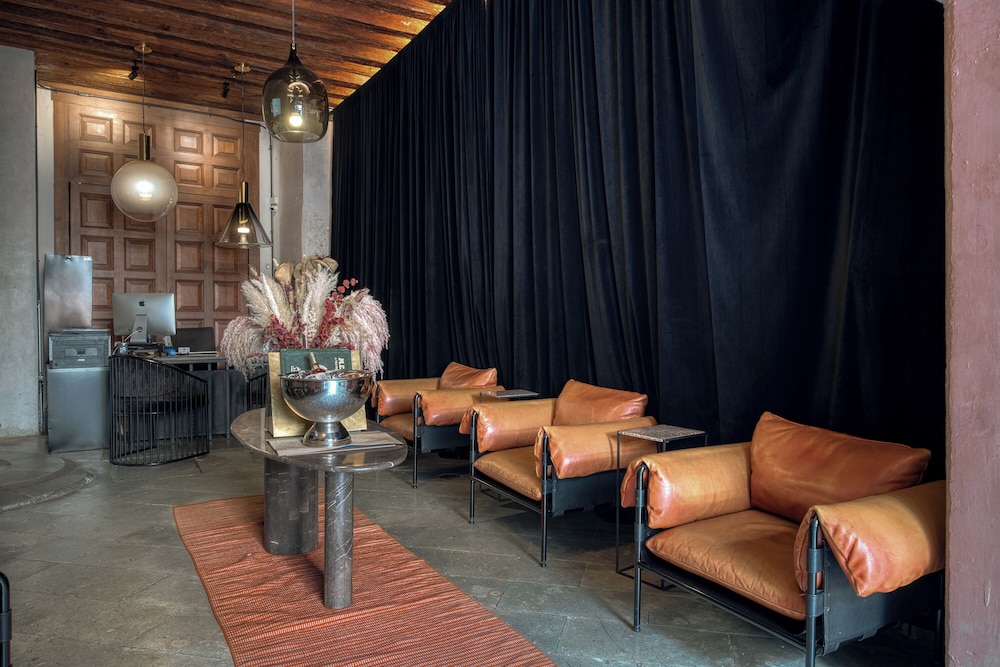 Pug Seal Oaxaca in Oaxaca, Mexico