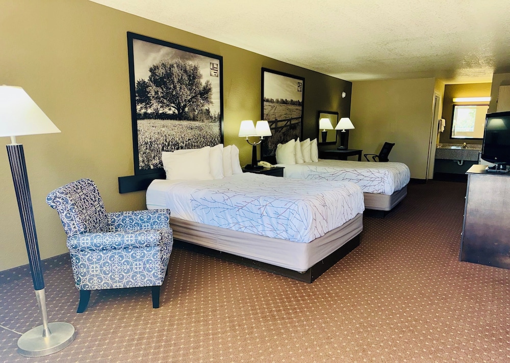 Hill Country Inn & Suites New Braunfels Gruene - photo 7