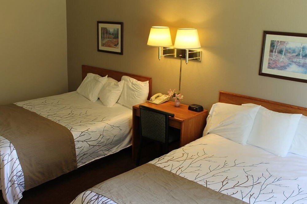 Edmore Inn — Edmore — photo 5