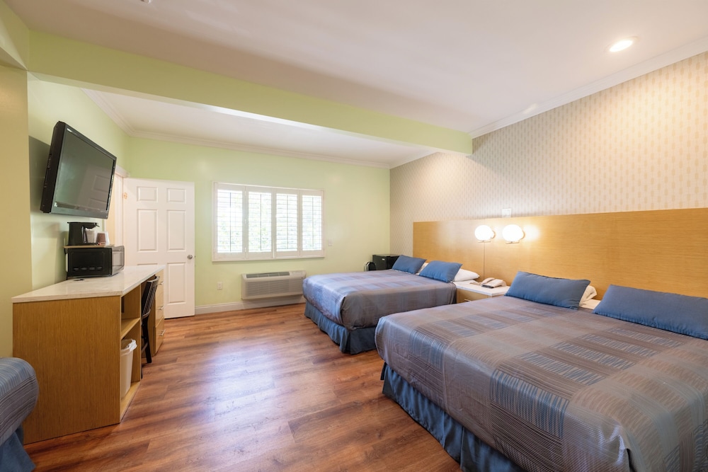 Hollywood City Inn - photo 25