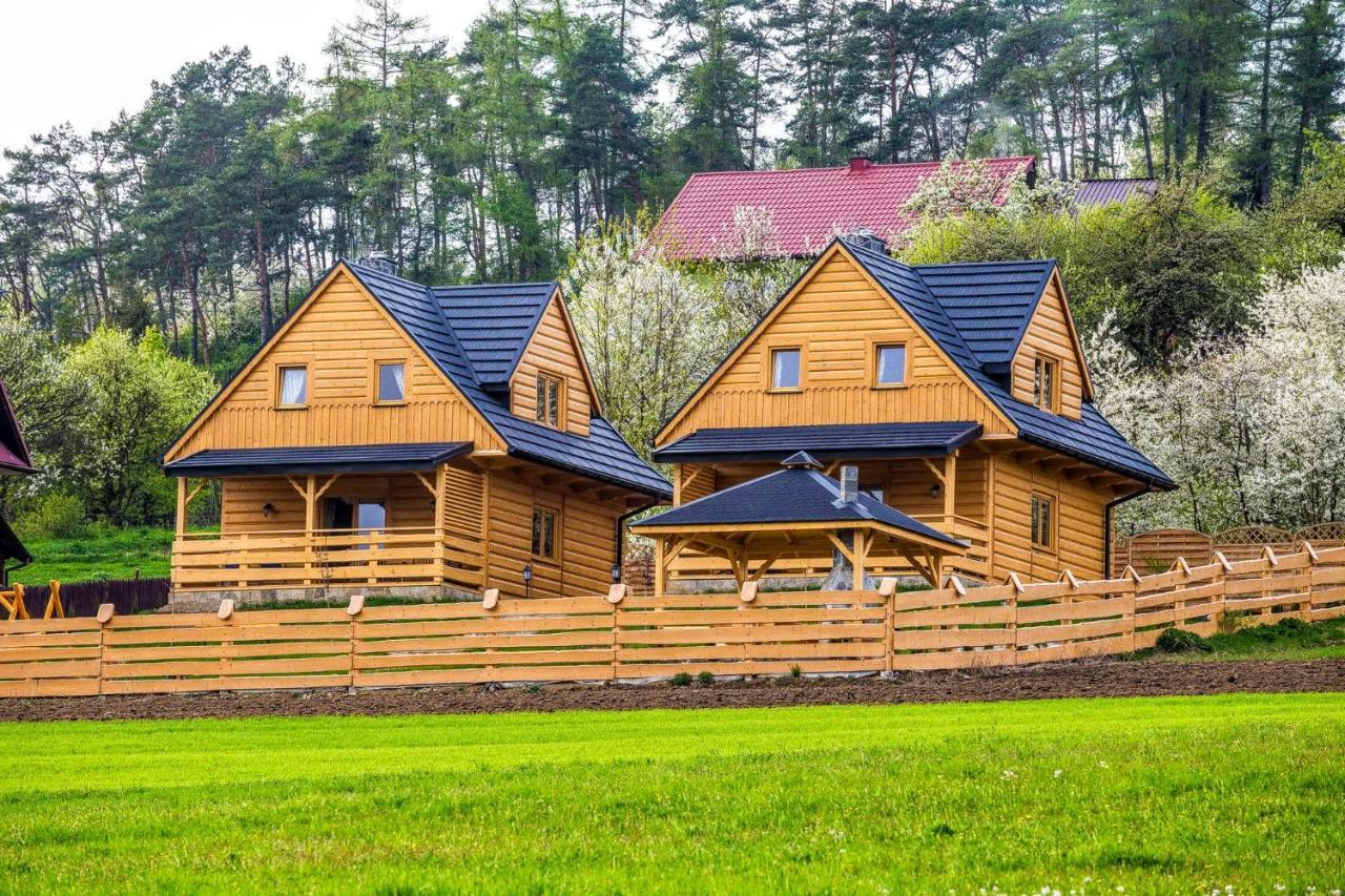 Domki Pod Kuznia — hotel in Lapsze Nizne