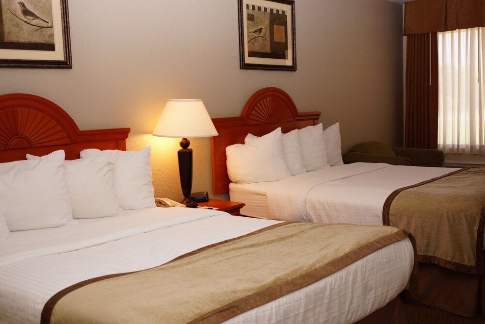 Best Western Isabelle Court - photo 6