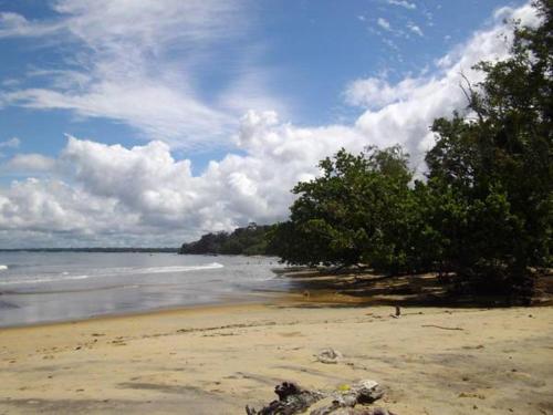 Mimado Hotel — Kribi — photo 5