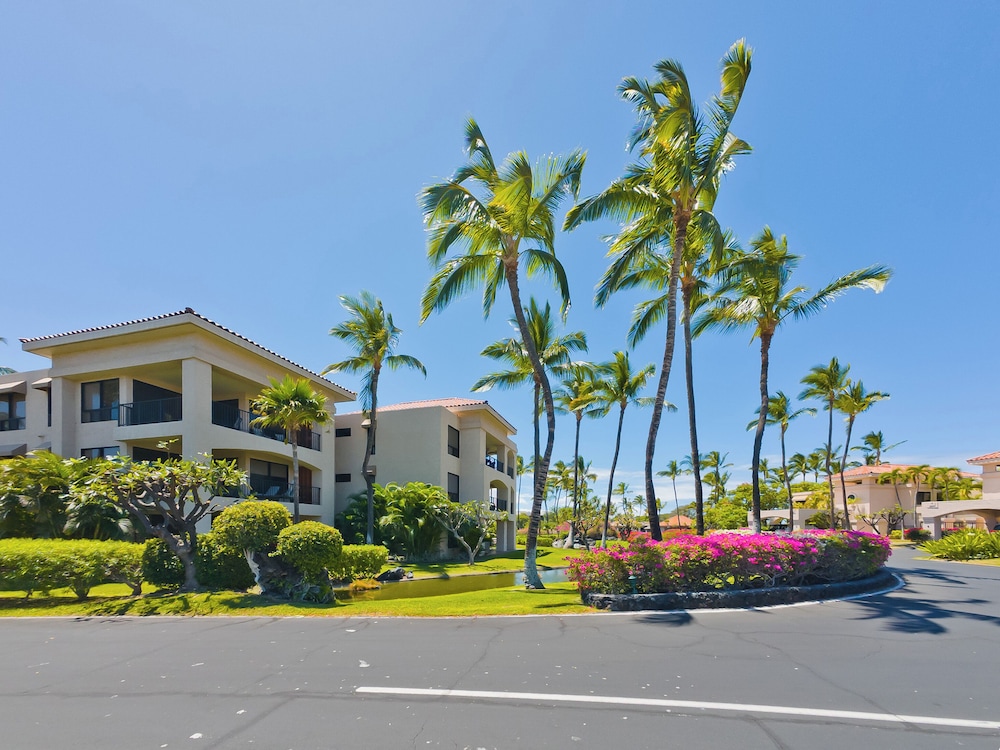 Hilton Pool Pass Incl. Serene Resort Gem - photo 44