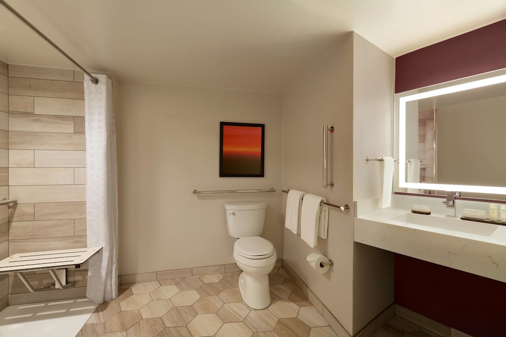 Embassy Suites by Hilton Phoenix Downtown North - photo 33