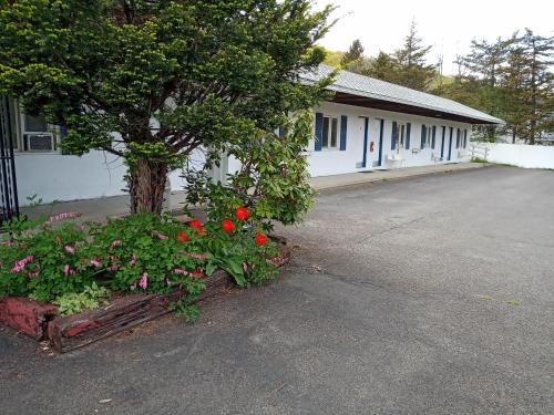 Elm Tree Motel — Albany — photo 4
