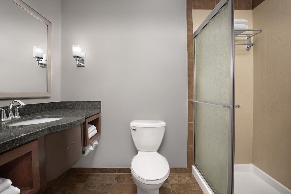 Holiday Inn Hotel & Suites Durango Downtown by IHG - photo 30