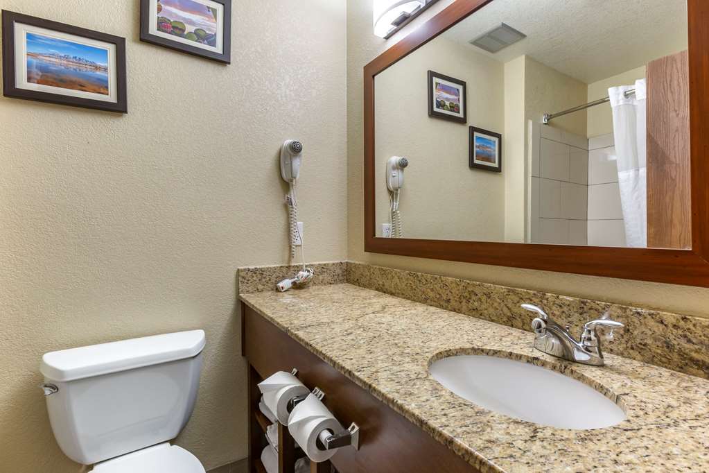 Comfort Inn & Suites Alameda at Albuquerque Balloon Fiesta Park - photo 9