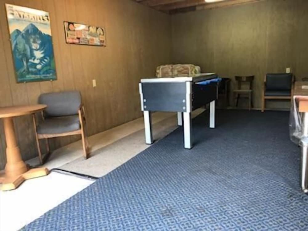 Catskill Motor Court Motel - photo 20