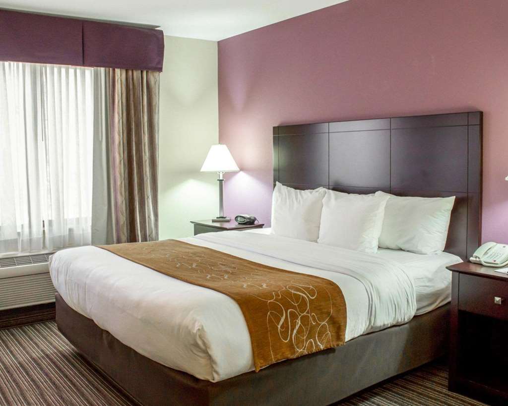 Comfort Suites Sanford - photo 11