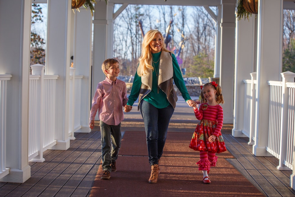 Dollywood's DreamMore Resort - photo 63