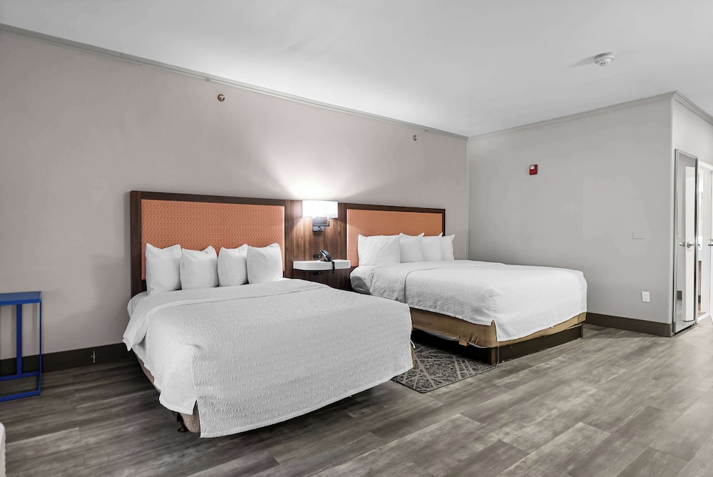 Hampton Inn Seguin - photo 23