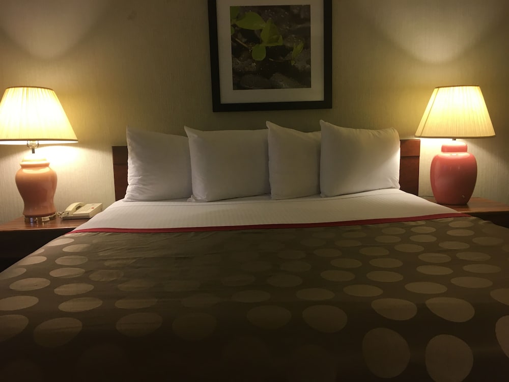 Ramada Portland Airport - photo 7