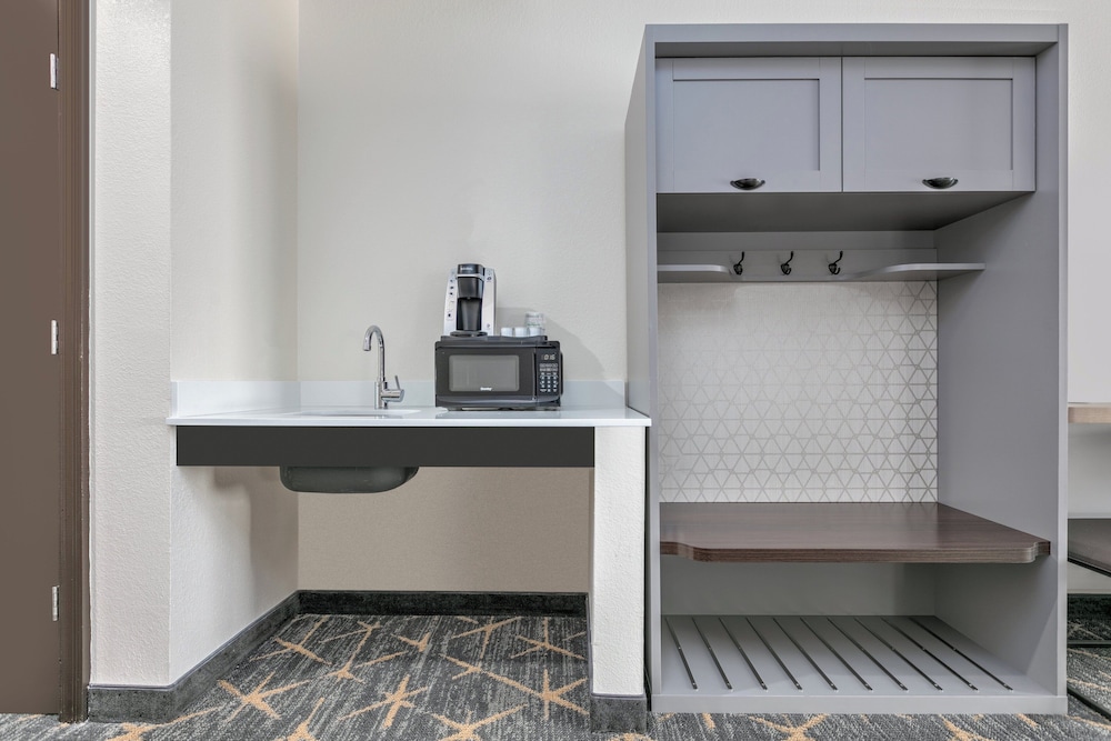 Holiday Inn Houma - photo 16