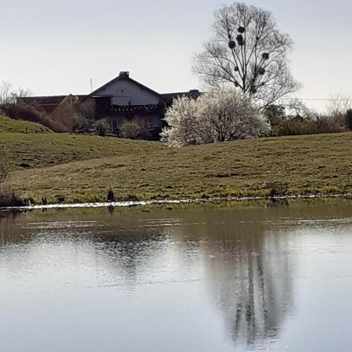 Marcinowa Zagroda - last minute hotel in Unknown City