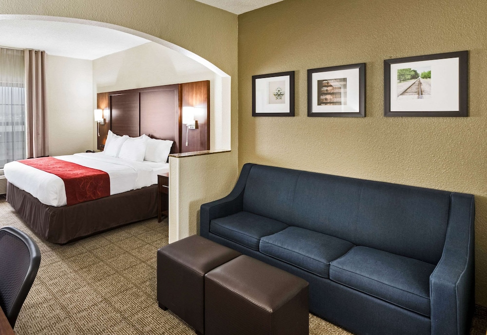 Comfort Suites Monroe - photo 15
