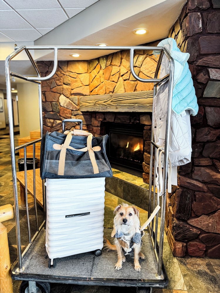Pine Mountain Ski & Golf Resort - photo 4