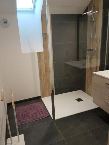 appart l'Écureuil 4 étoiles — 4-Star Luxury Hotel in Cornimont, France