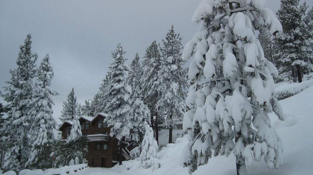 Tahoe Chaparral - photo 24