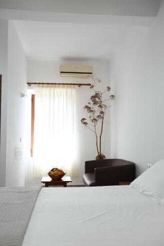 Te Rrapi Rooms in Unknown City, Albania