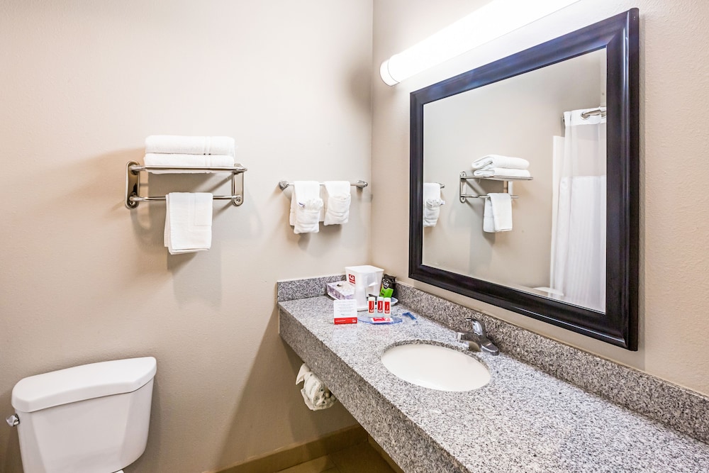 Econo Lodge Baton Rouge University Area - photo 16