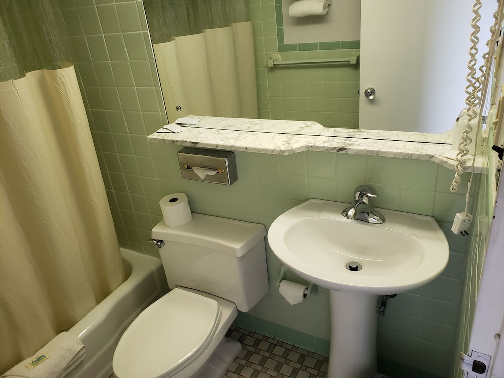 Huntingdon Motor Inn - photo 21
