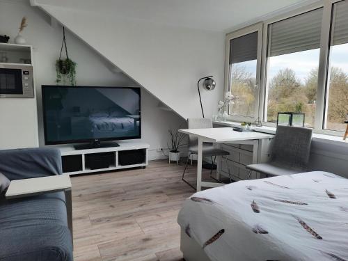 Studio 76 Groningen Met Gratis Leenfietsen — Groningen