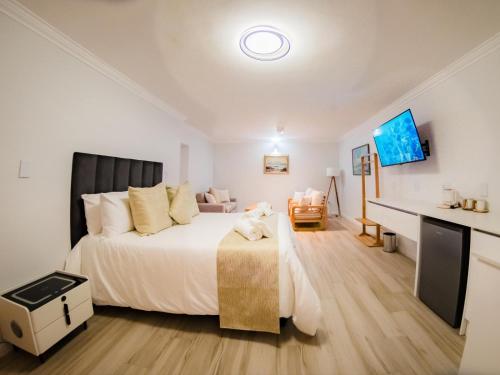 Cape Joy BRAND NEW luxury villa just rolled out in Cape Town Plattekloof