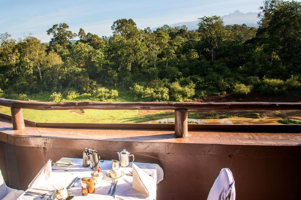 Mountain Lodge — Nyeri — photo 2