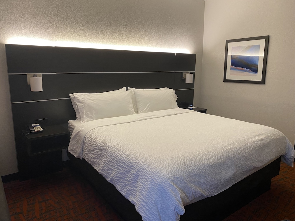 Holiday Inn Express Metropolis - photo 15