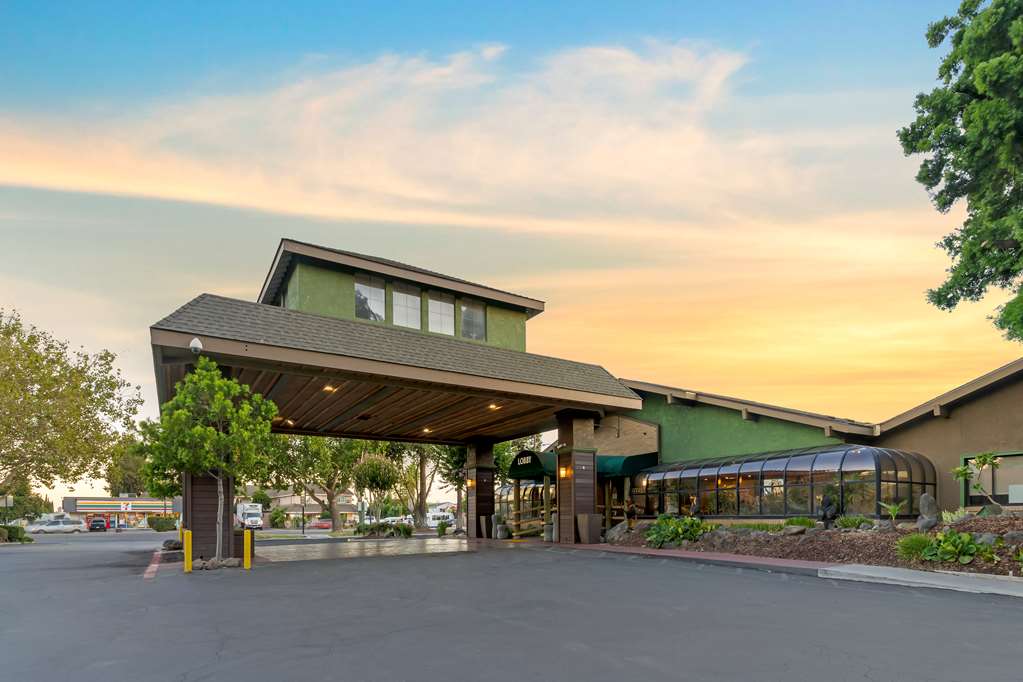 Best Western Plus Forest Park Inn - photo 13