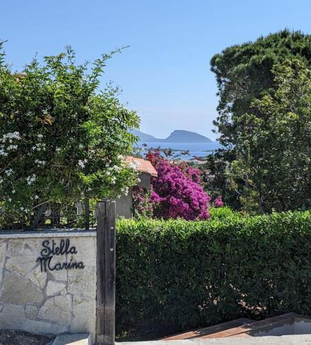 Villetta Stella Marina in Olbia, Italy