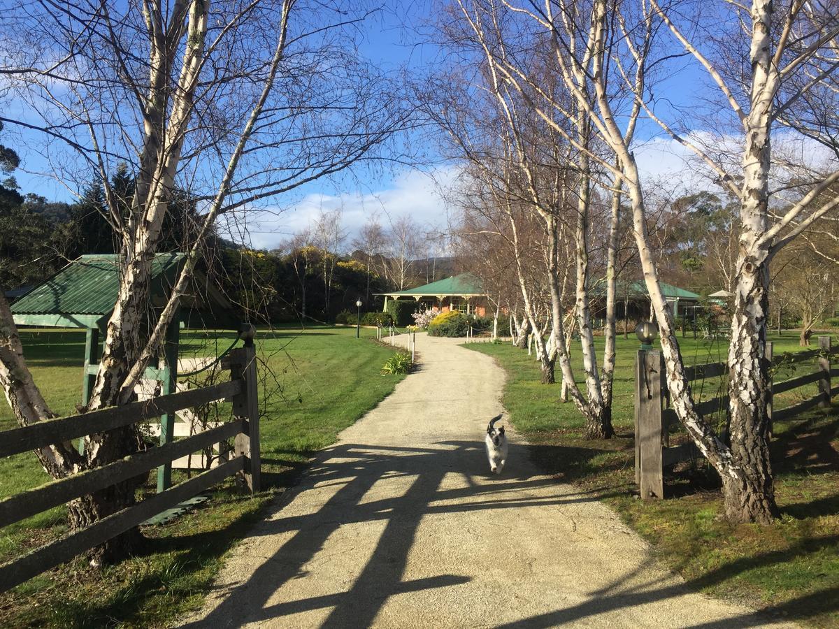 Green Gables Bed and Breakfast — 4-Star Luxury Hotel in Cygnet, Australia