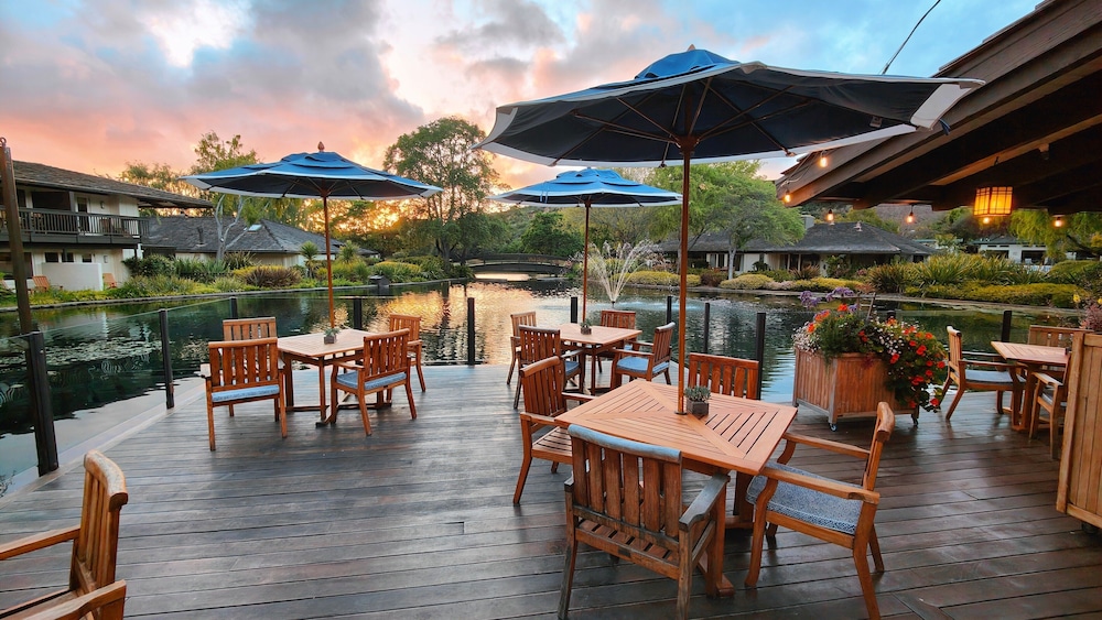 The Quail - photo 72