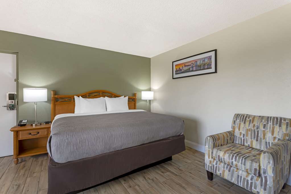 Quality Inn & Suites St Augustine Beach Area - photo 14