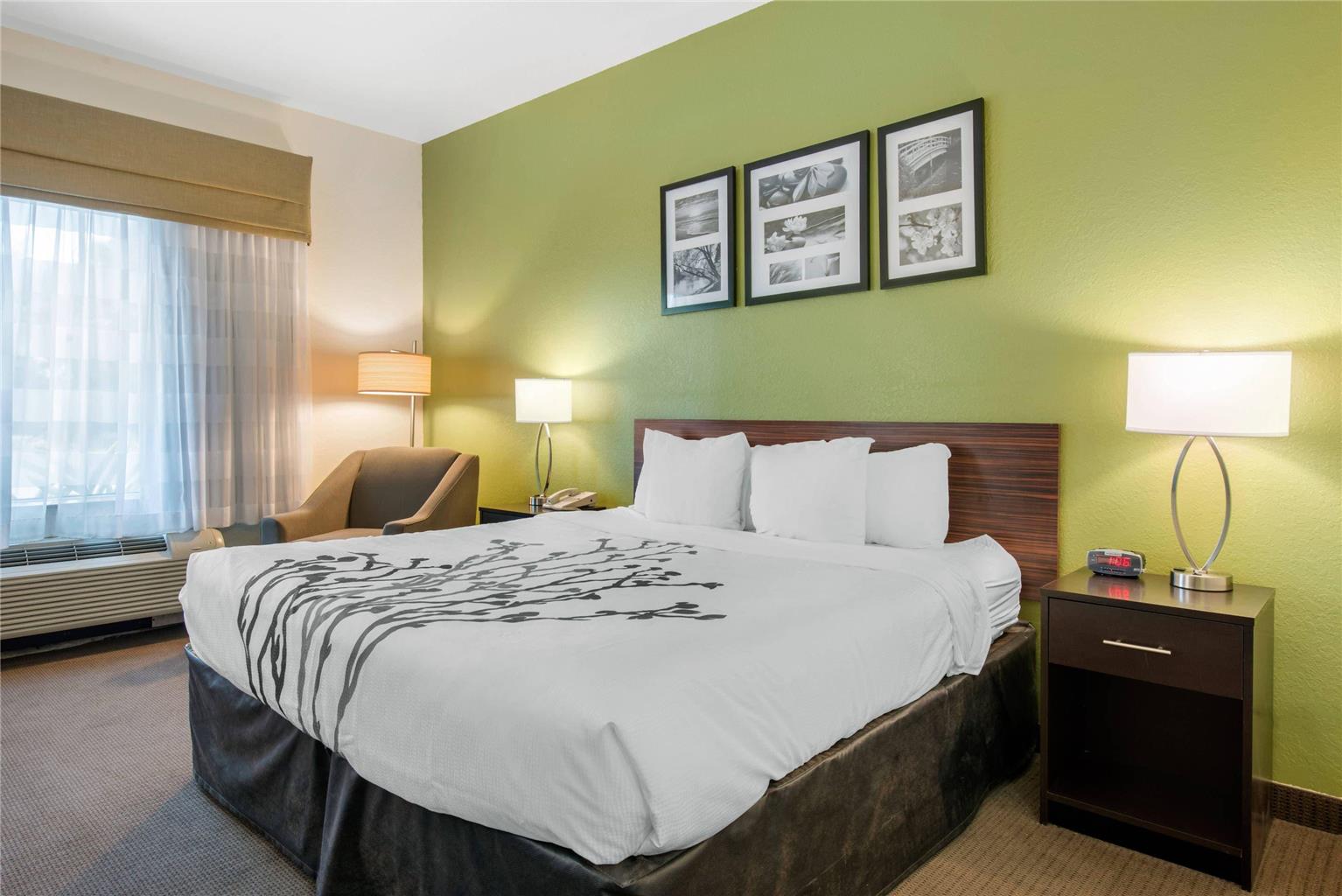 Sleep Inn & Suites Port Charlotte Punta Gorda - photo 6