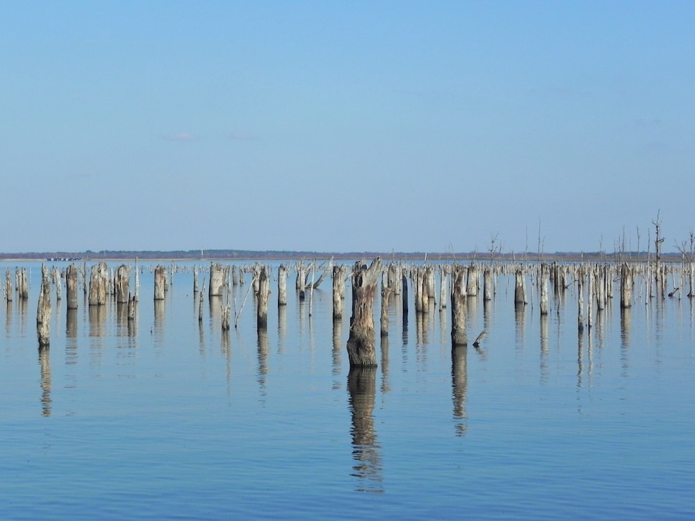 Pope's Landing Marina - photo 153