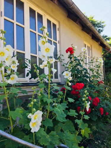 NordsoeHousing Rørby in Kalundborg, Denmark