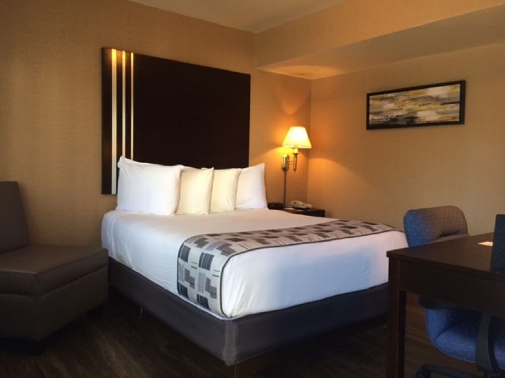Super 8 By Wyndham Albany - photo 13