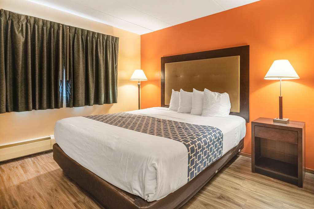 Econo Lodge Inn & Suites Windsor Locks Bradley Airport - photo 17